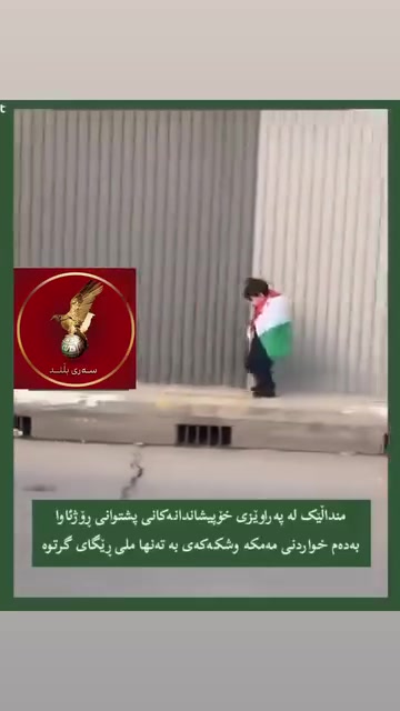 @salmanfarman298