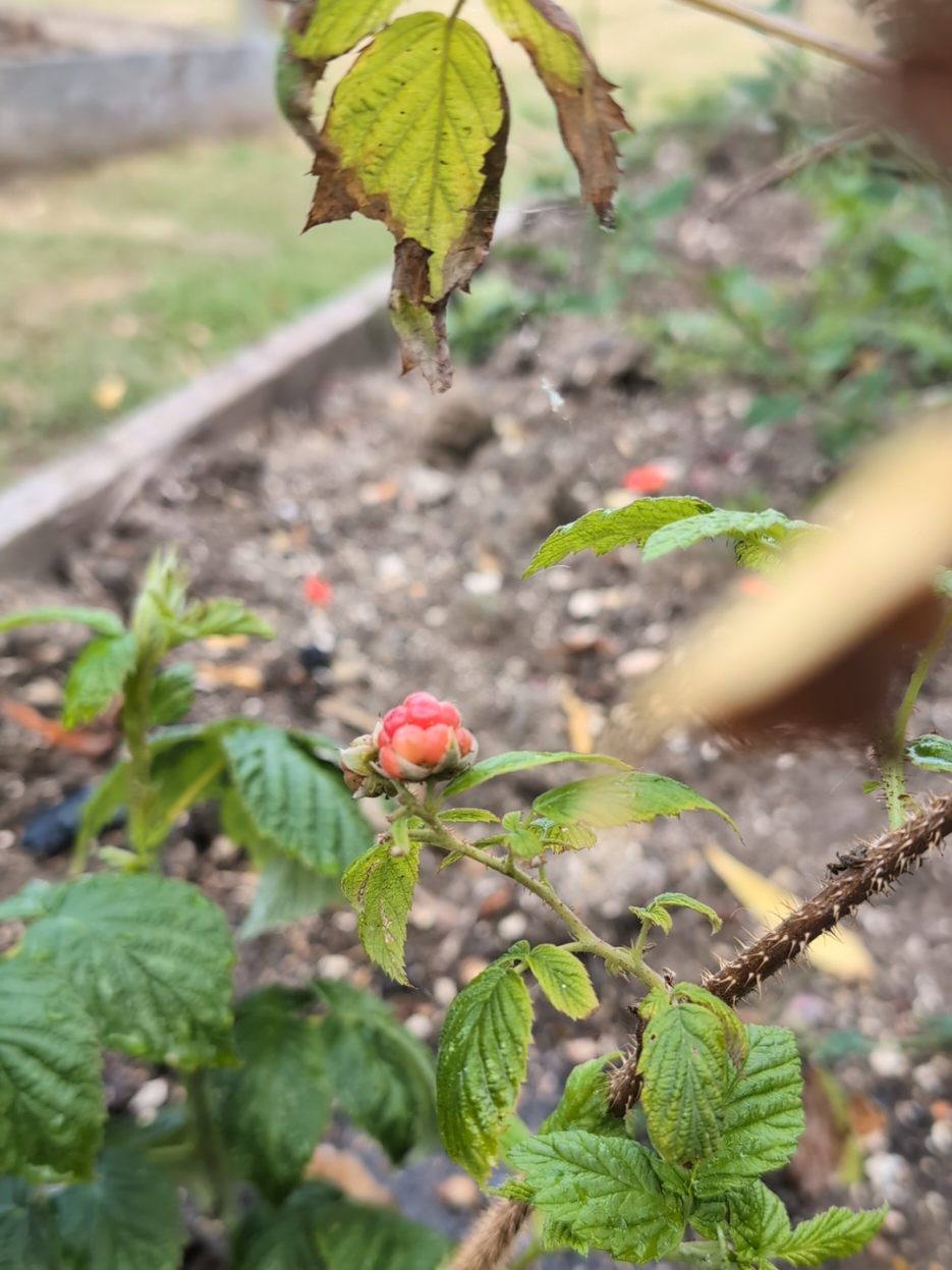 @Court Farm: Home & Garden