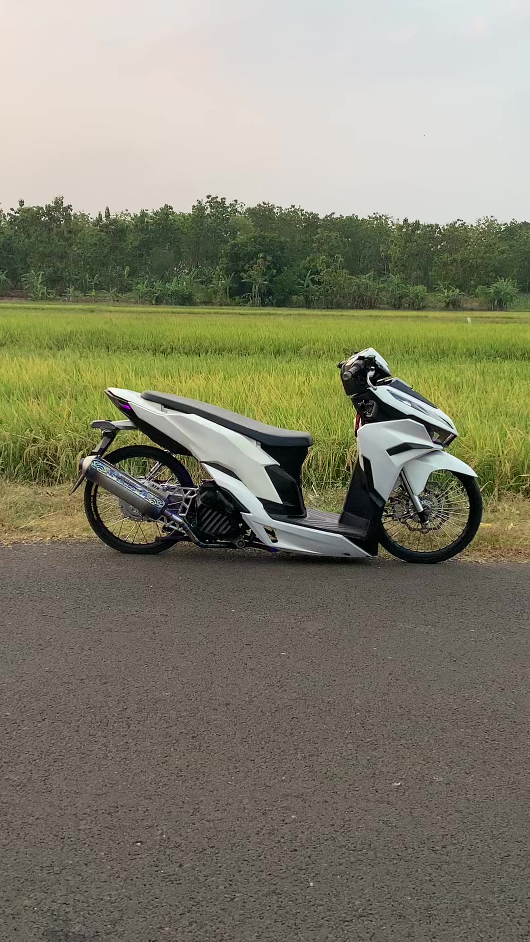 @๐ฝ๐๐๐๐โตโฐโต