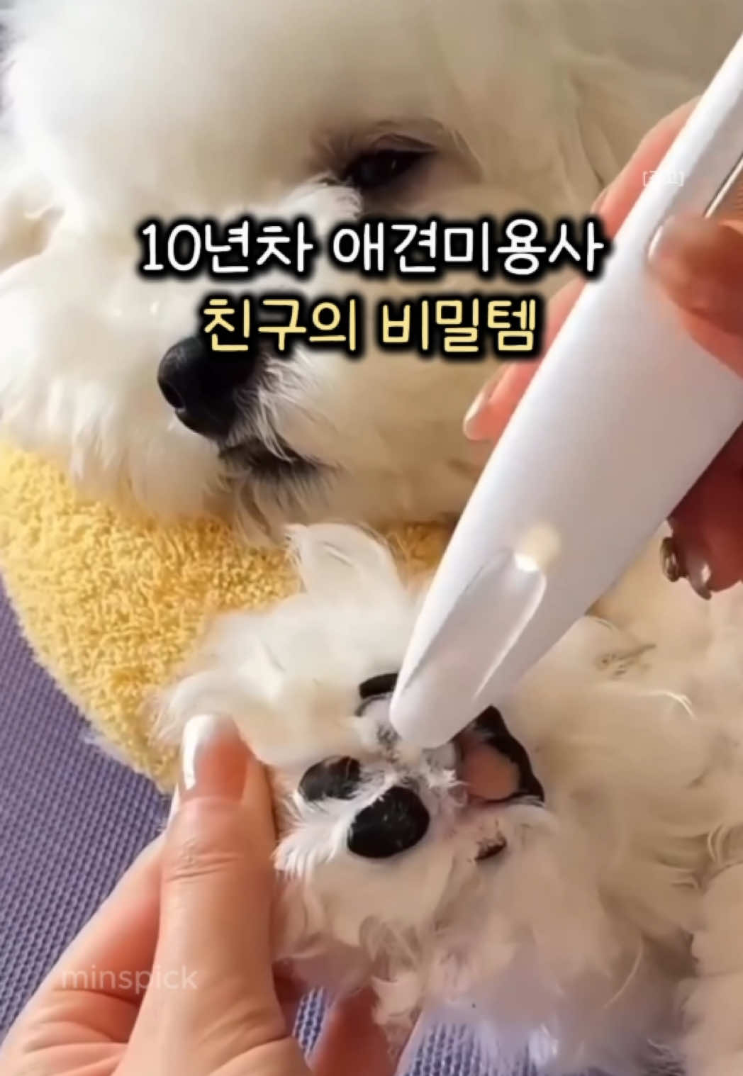 @민스픽
