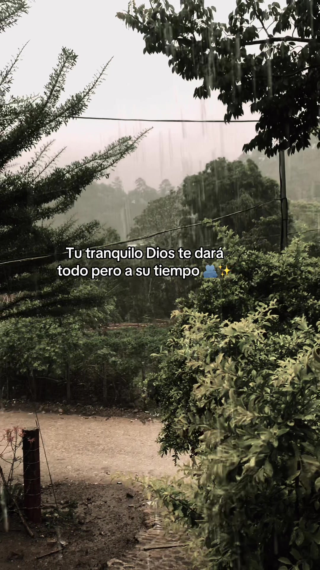 @Robinson✝️✨👑 Jesús ✝️✨
