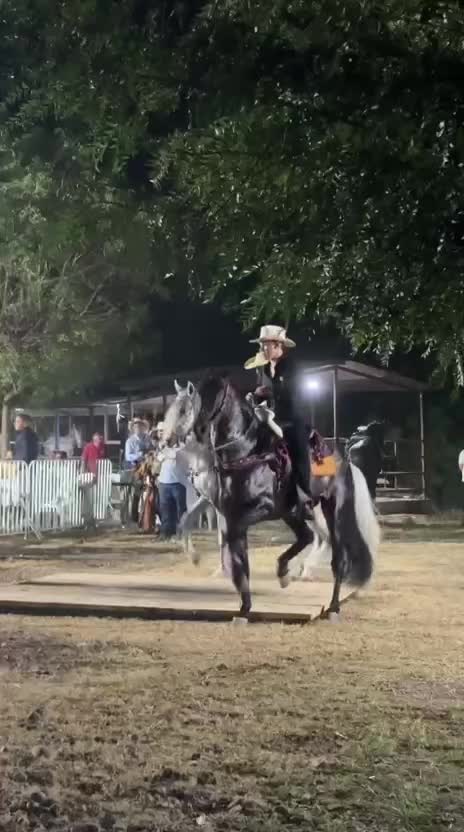 @K.borja🐴