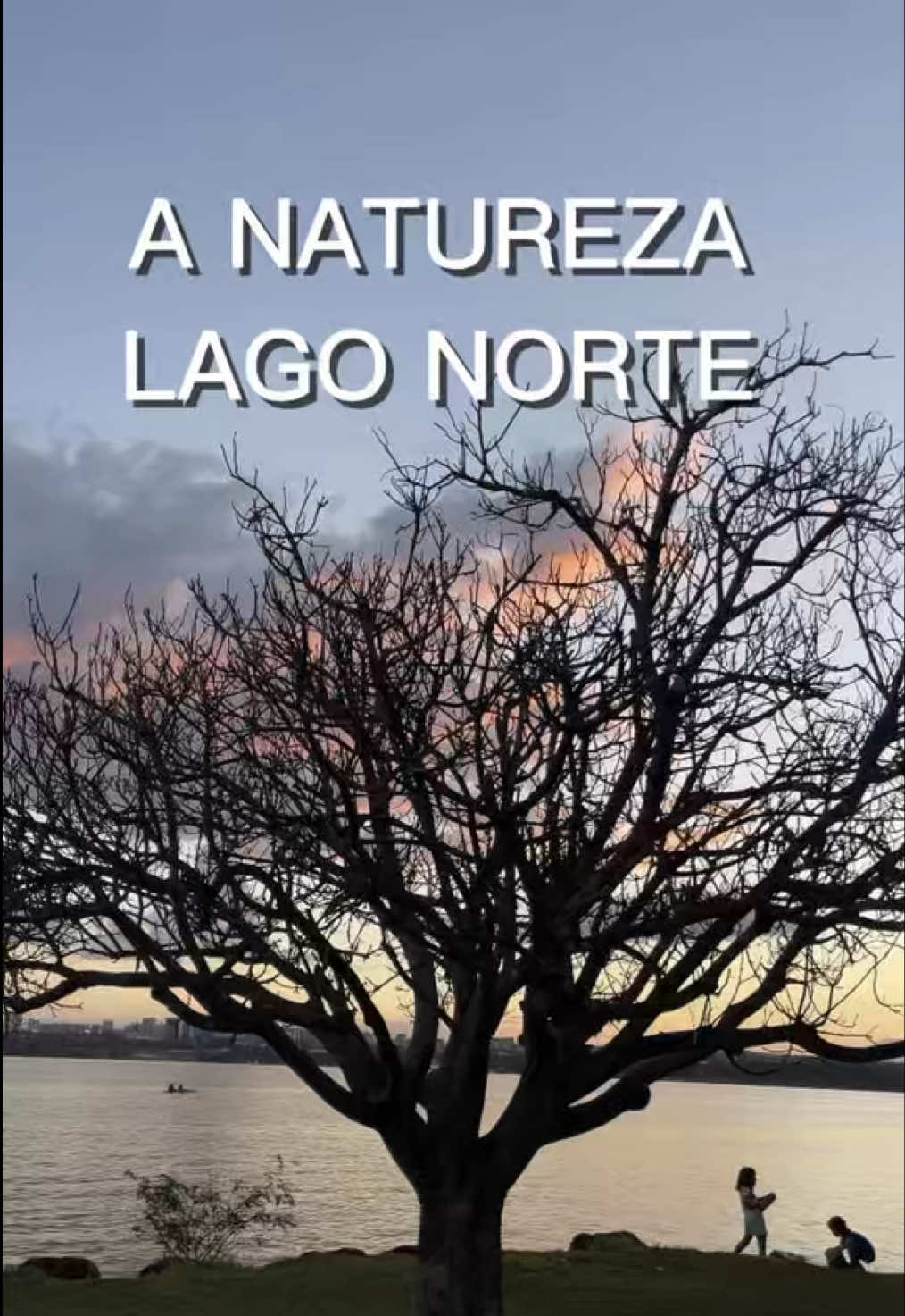 @JDM A NATUREZA EM AÇÃO