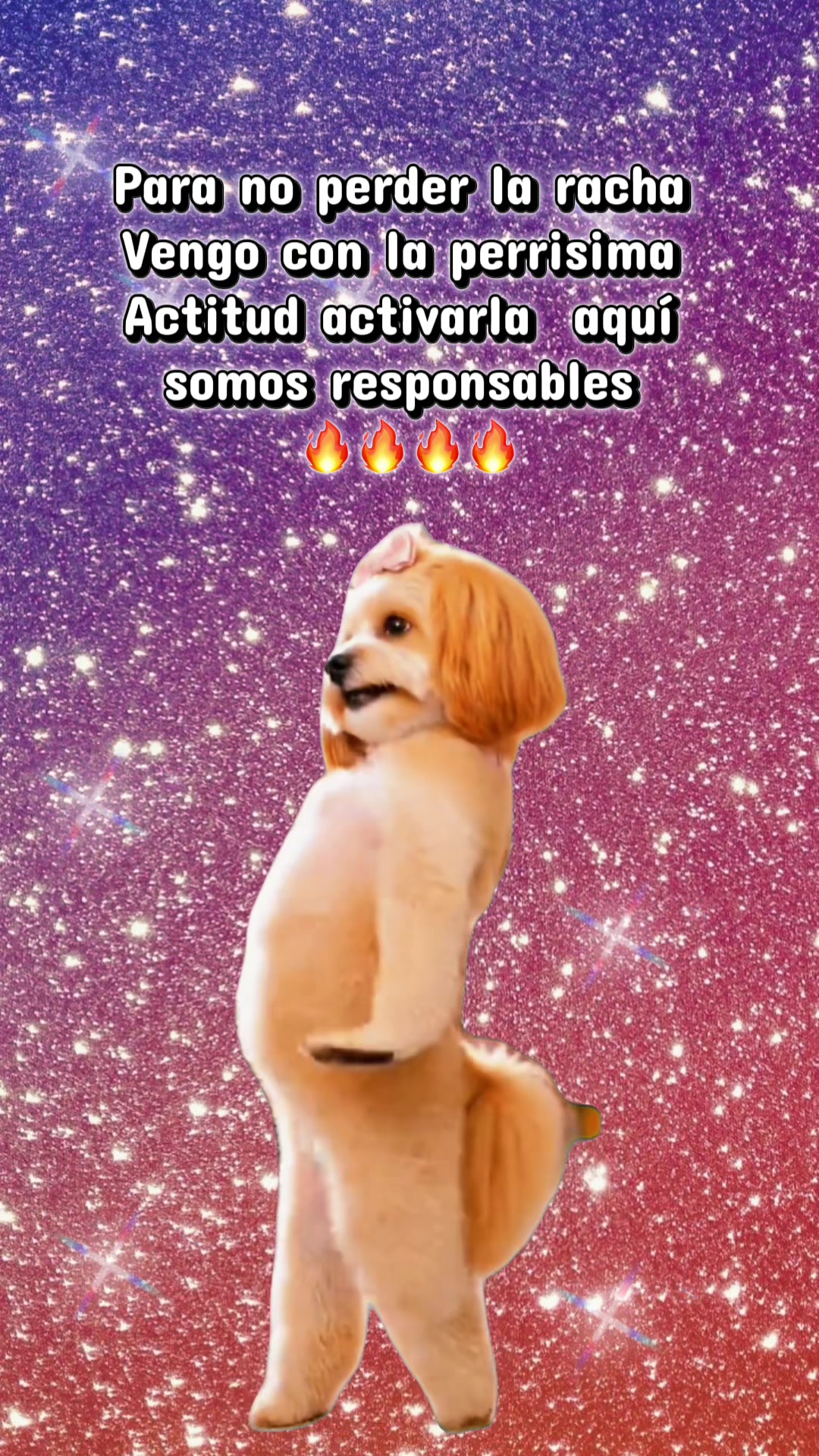 @Hernández_02