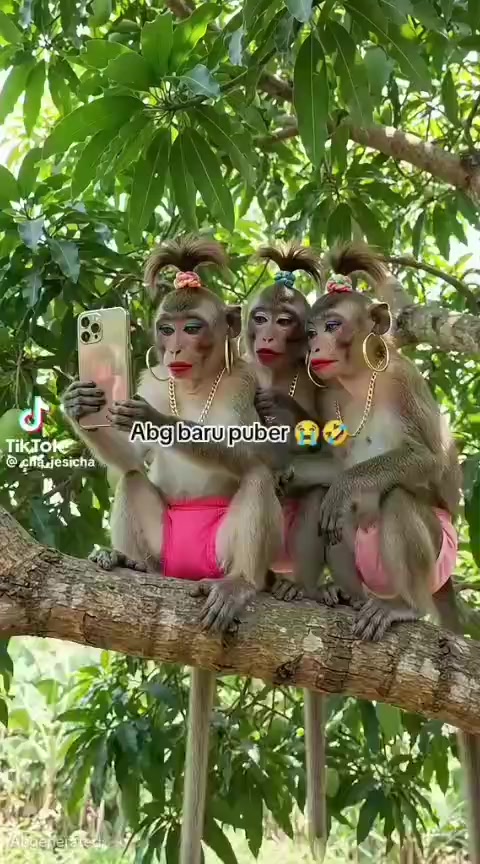 @🔥 SHINTA ASHARI💖