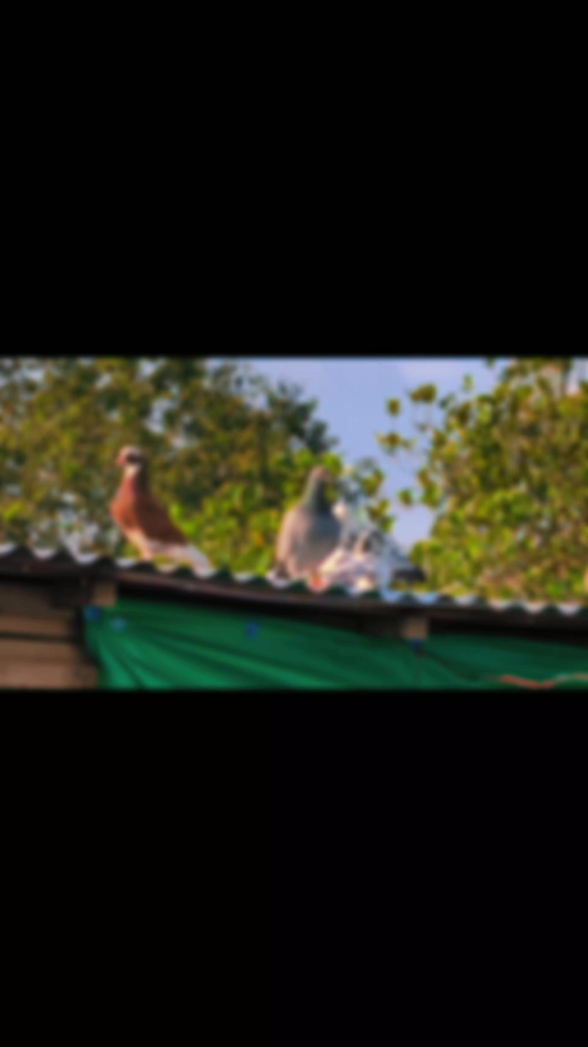 @আহমেদ সাব্বির