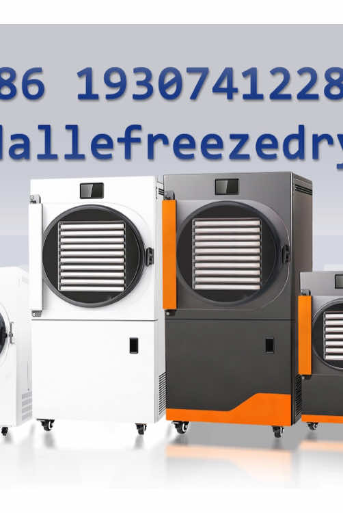 @Dalle freeze dryer
