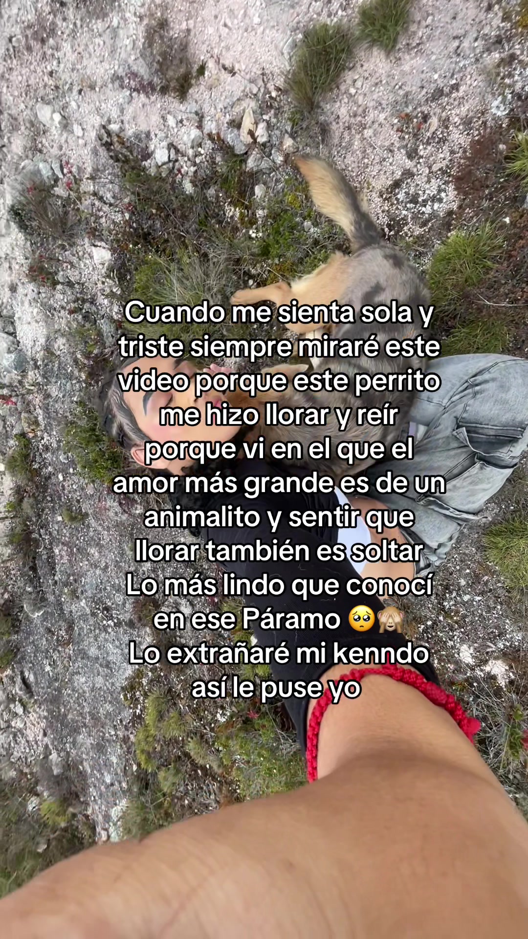 @Nicol ๐