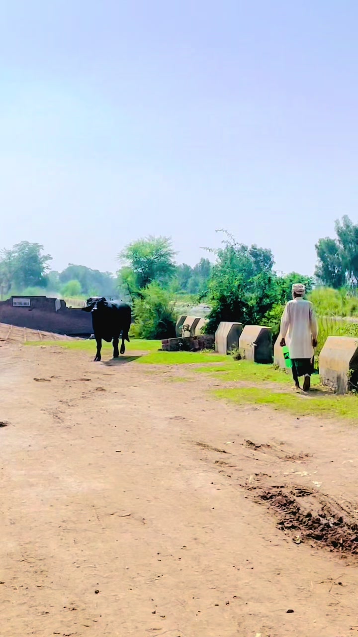 @🦁🦁🦁چوھردی عابدگجر🦁🦁🦁