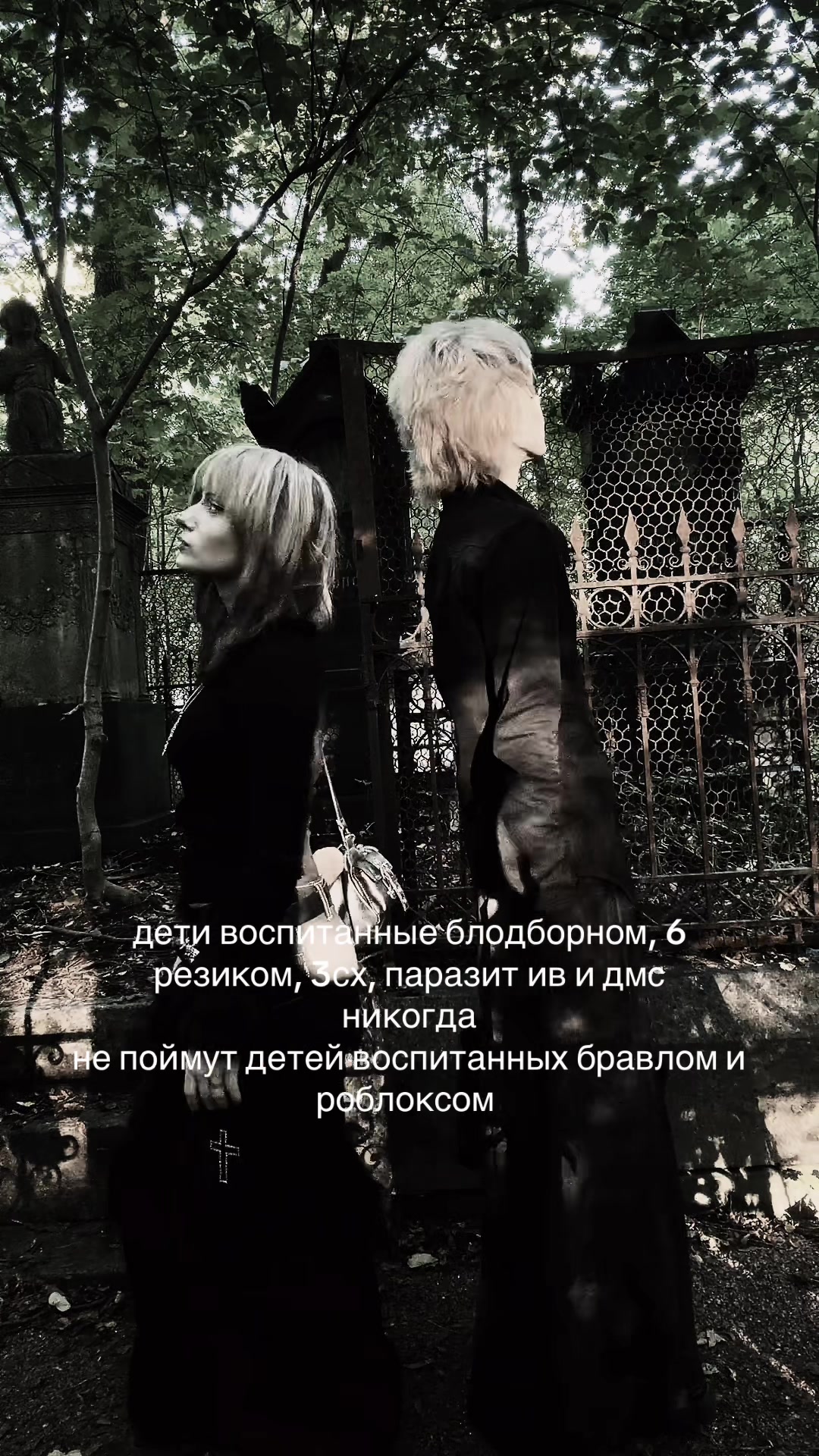 @v.ns
