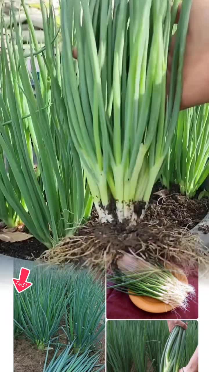 @tới đồ dùng