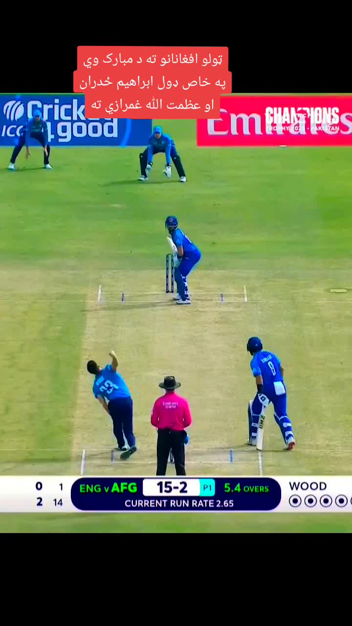 @Tanha Tanha