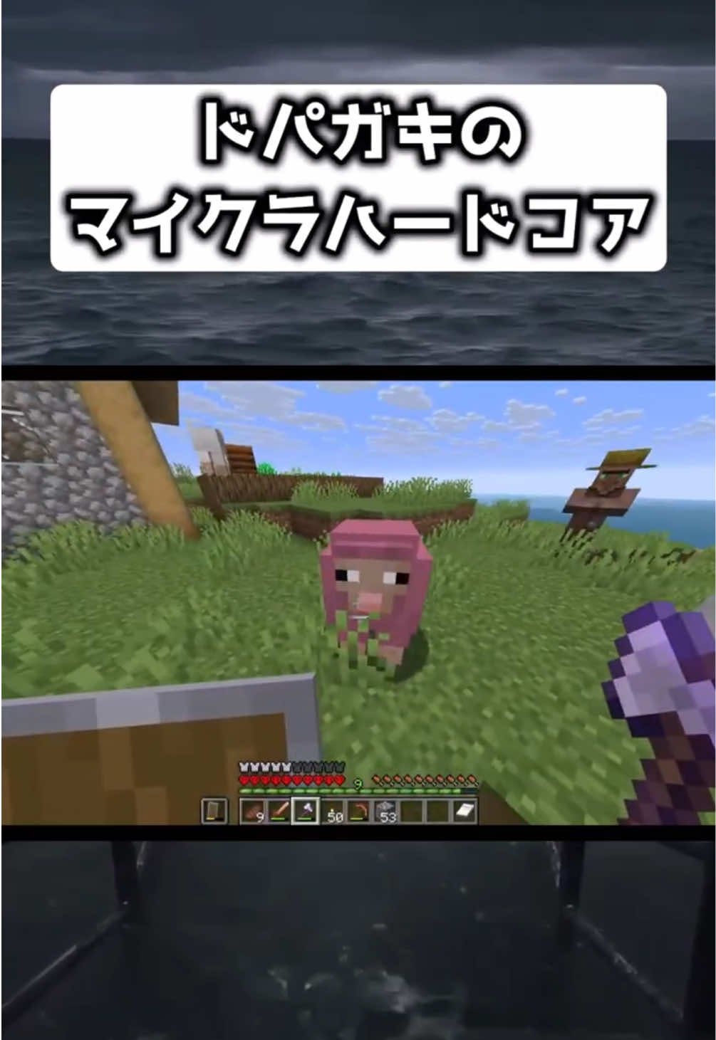 @あねもね