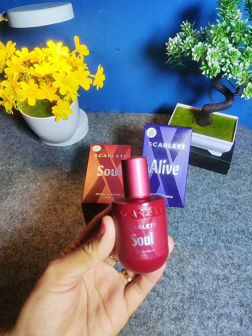 @Rindi Afrilia𝜗𝜚✨