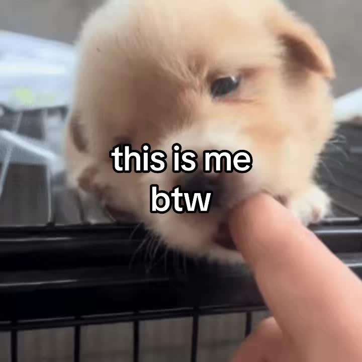 @mar Ი𐑼