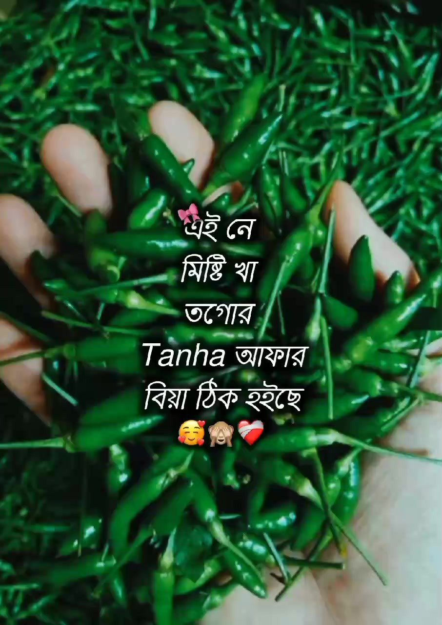 @⏤͟͟͞͞𝗧𝗔𝗡𝗛𝗔/تنها✧