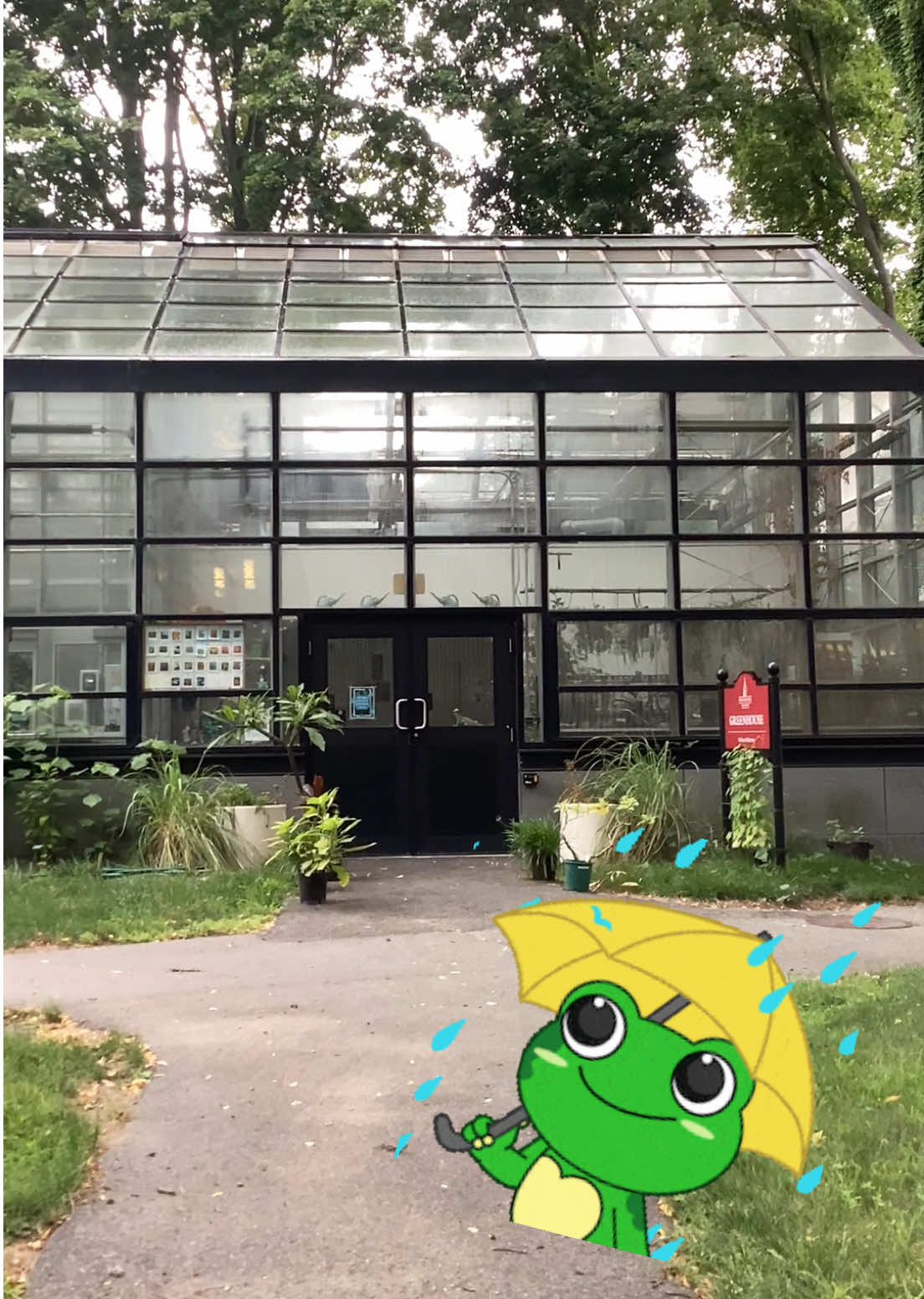 @bsu greenhouse