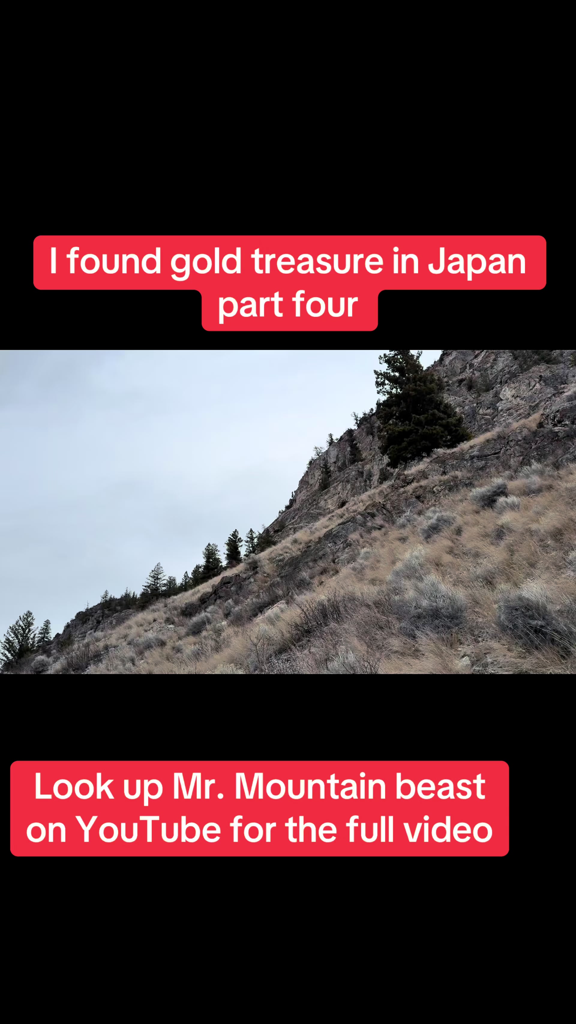 @Mr.mountainbeast