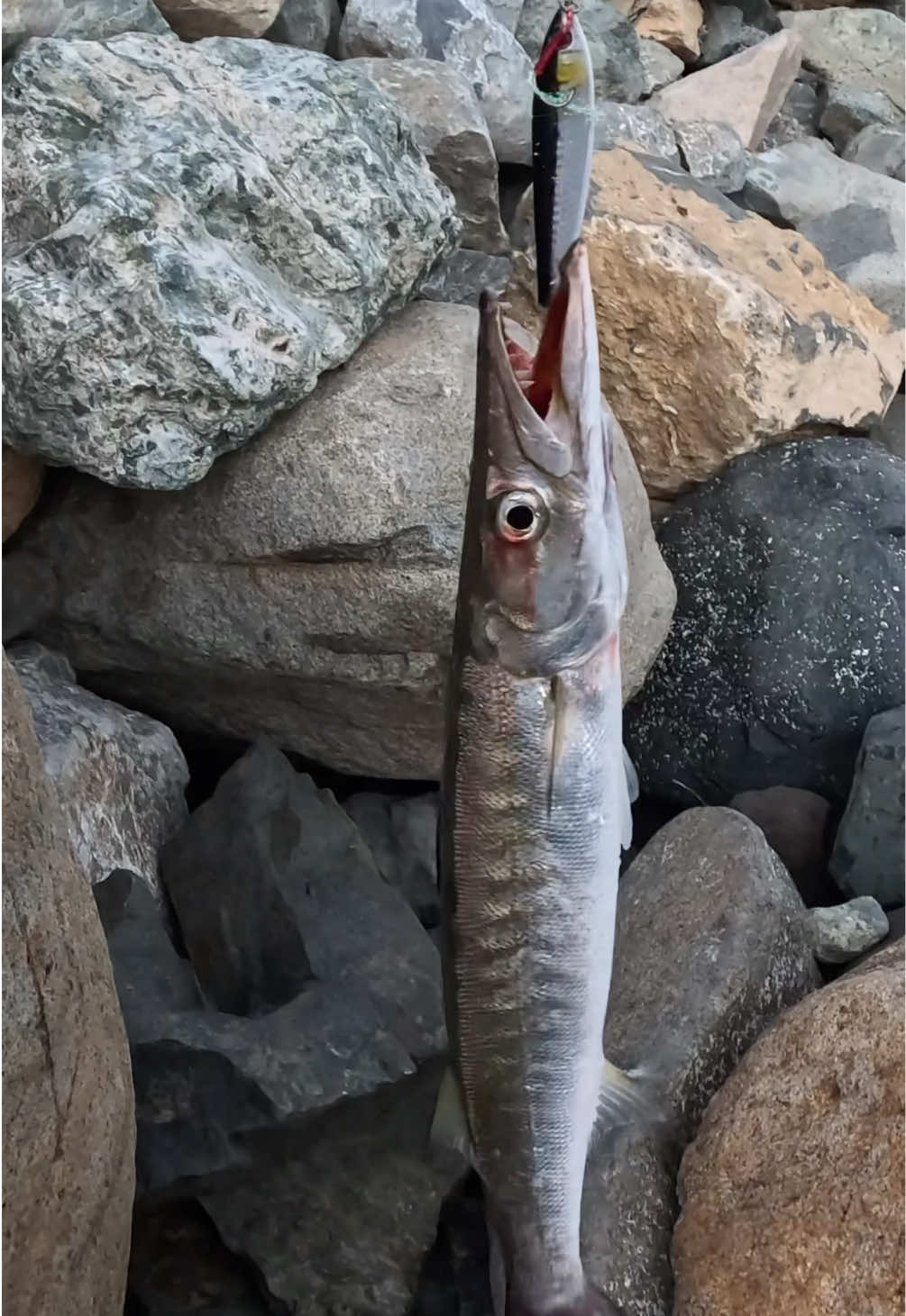 @Ranfery C. G. Sport_Fishing