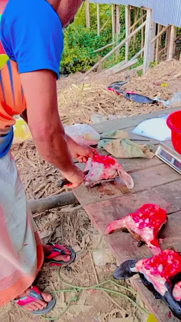 @গ্রামের বাংলার দৃশ্য