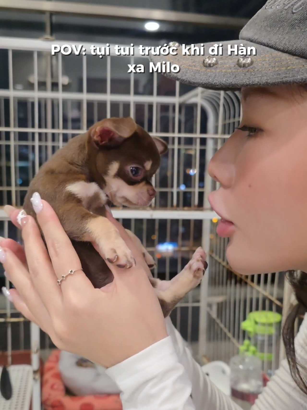 @Ông Thỉ Bà Long 🌚