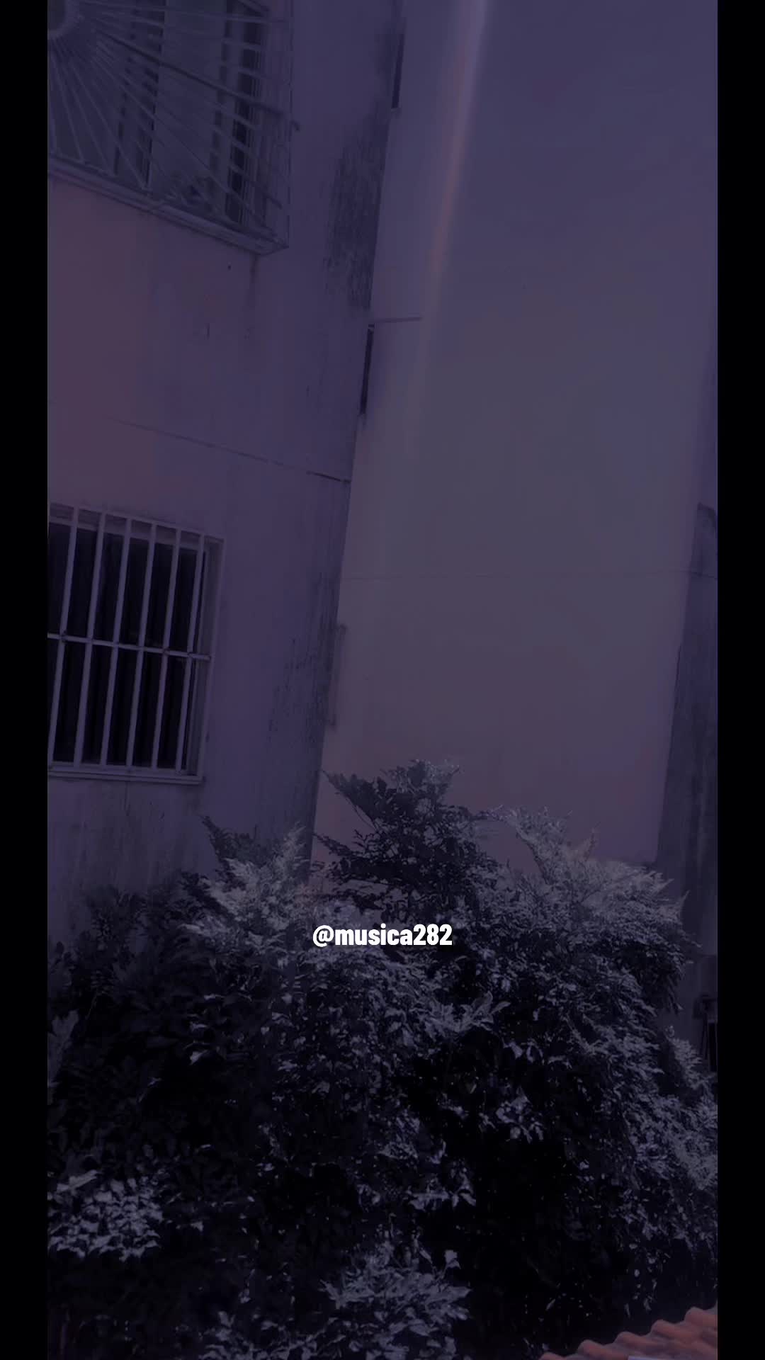 @musica282