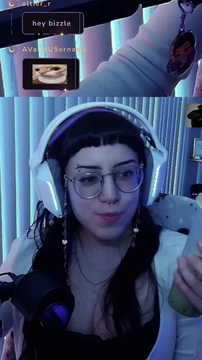@kitty