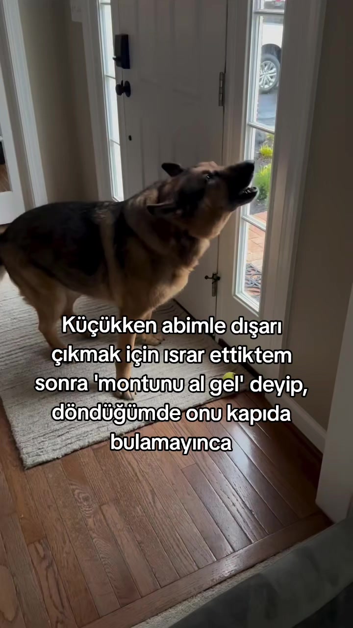 @rolland