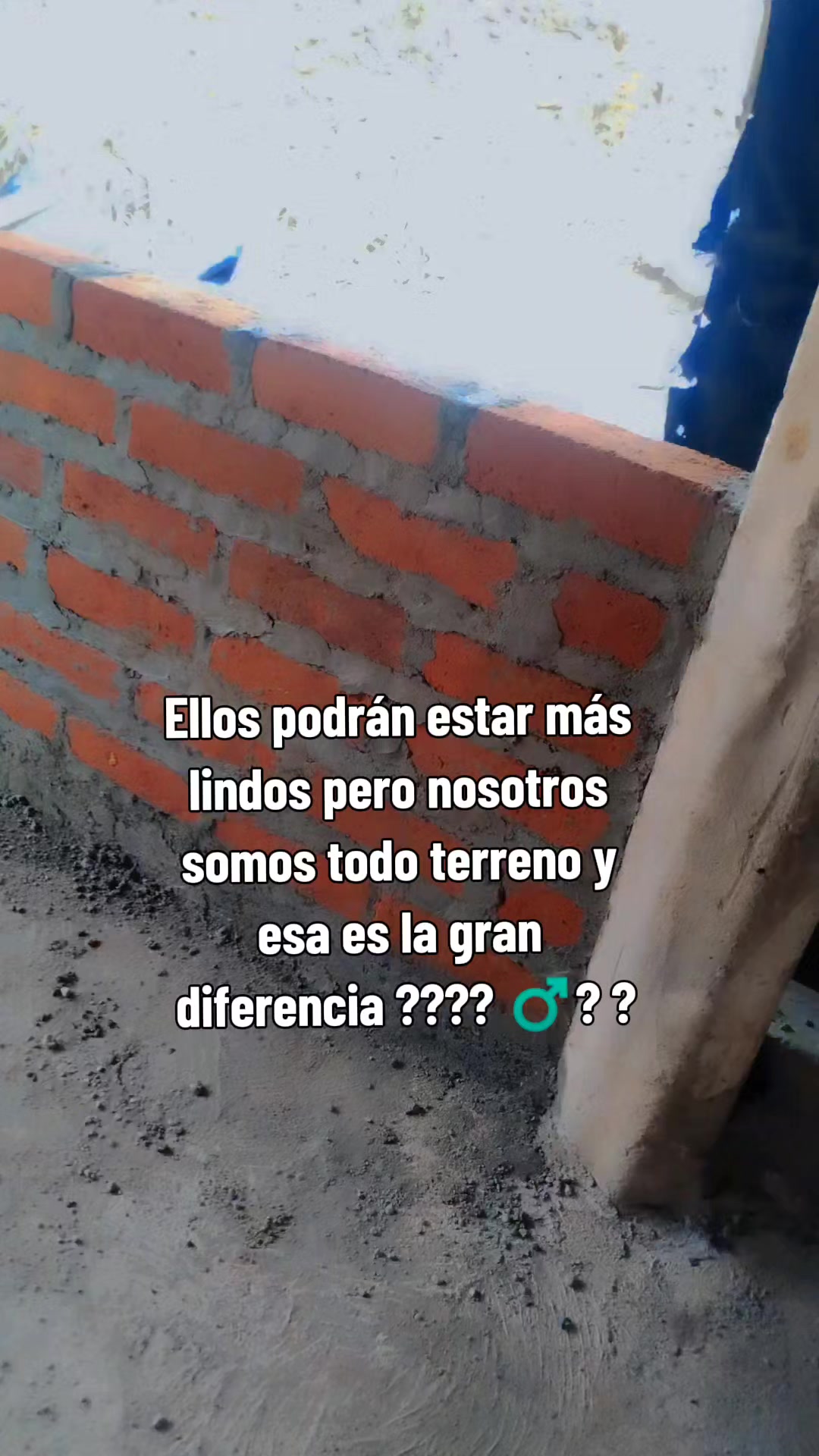 @🐥 Juan🐣