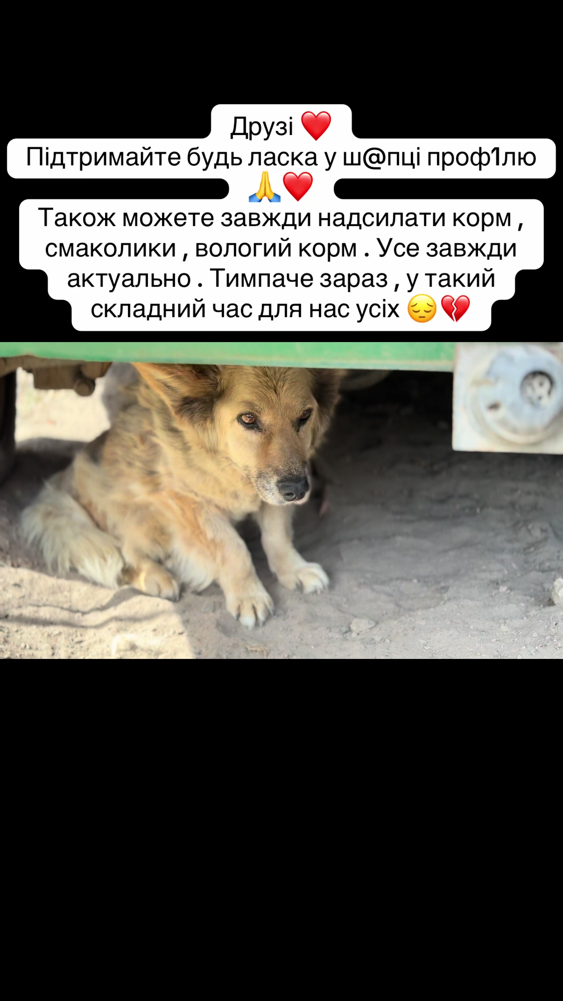 @tanya.help.animal