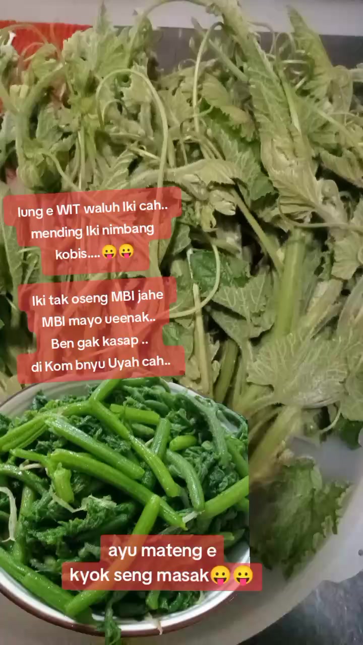 @cah ndeso