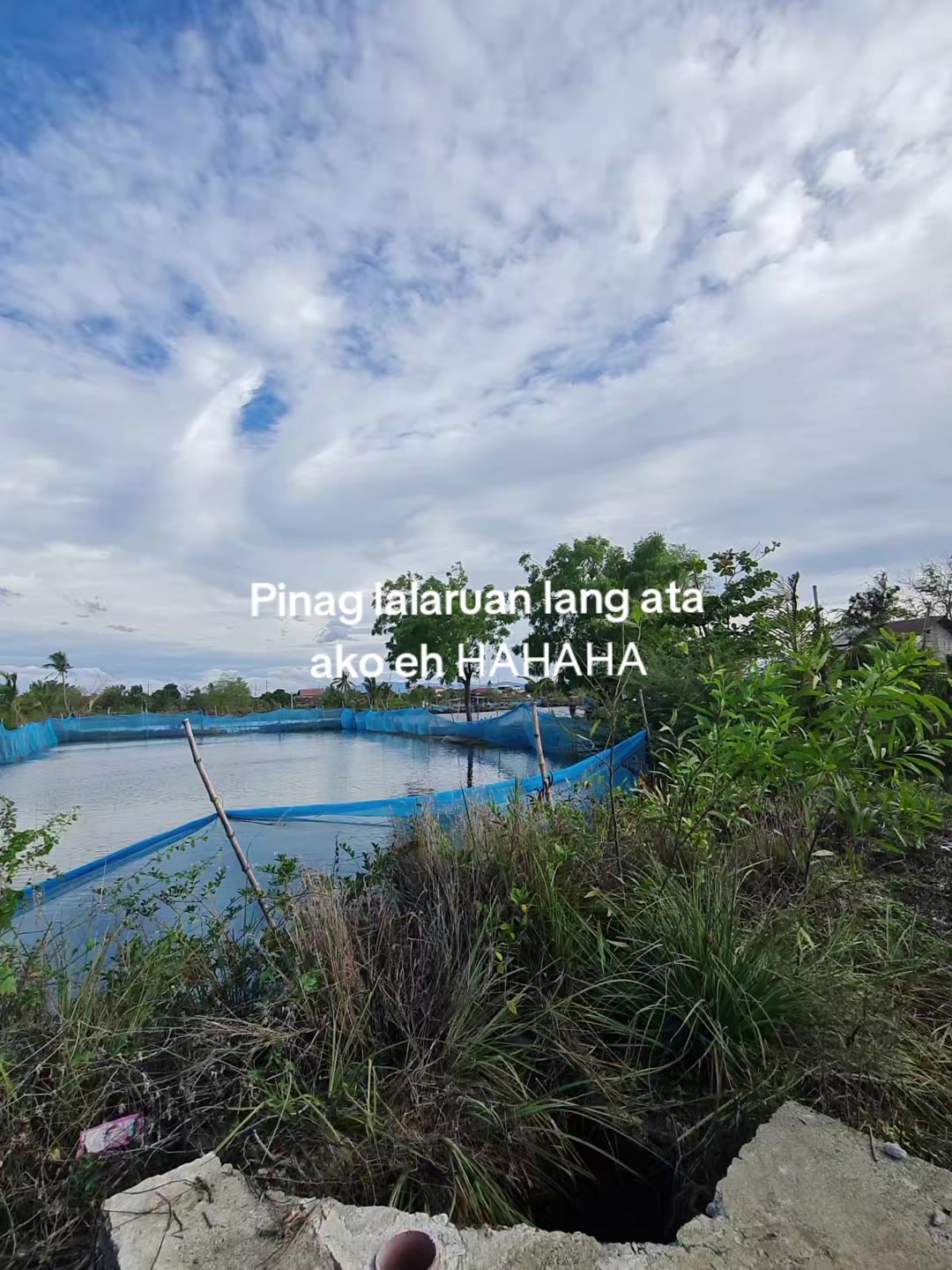 @HahahaLangYan