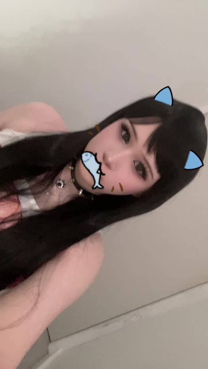 @꒰ 🐾𑣲 ᥴᥲ𝗍gіrᥣ ۶ৎ ۫🪽