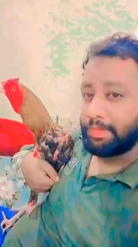 @aliraza777