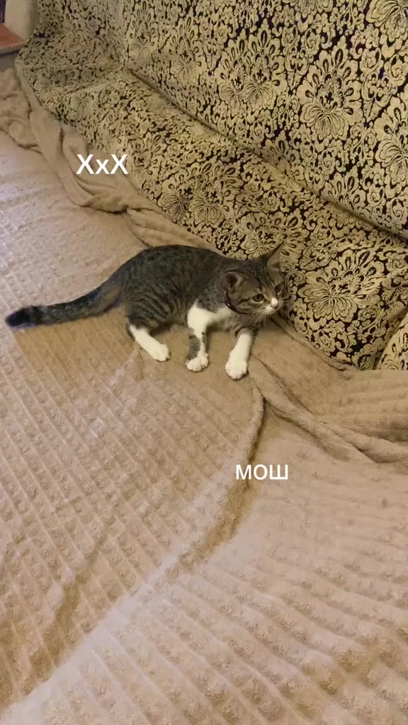 @🖤