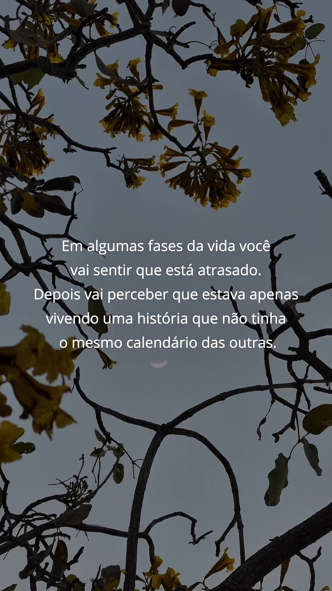 @guinanatureza