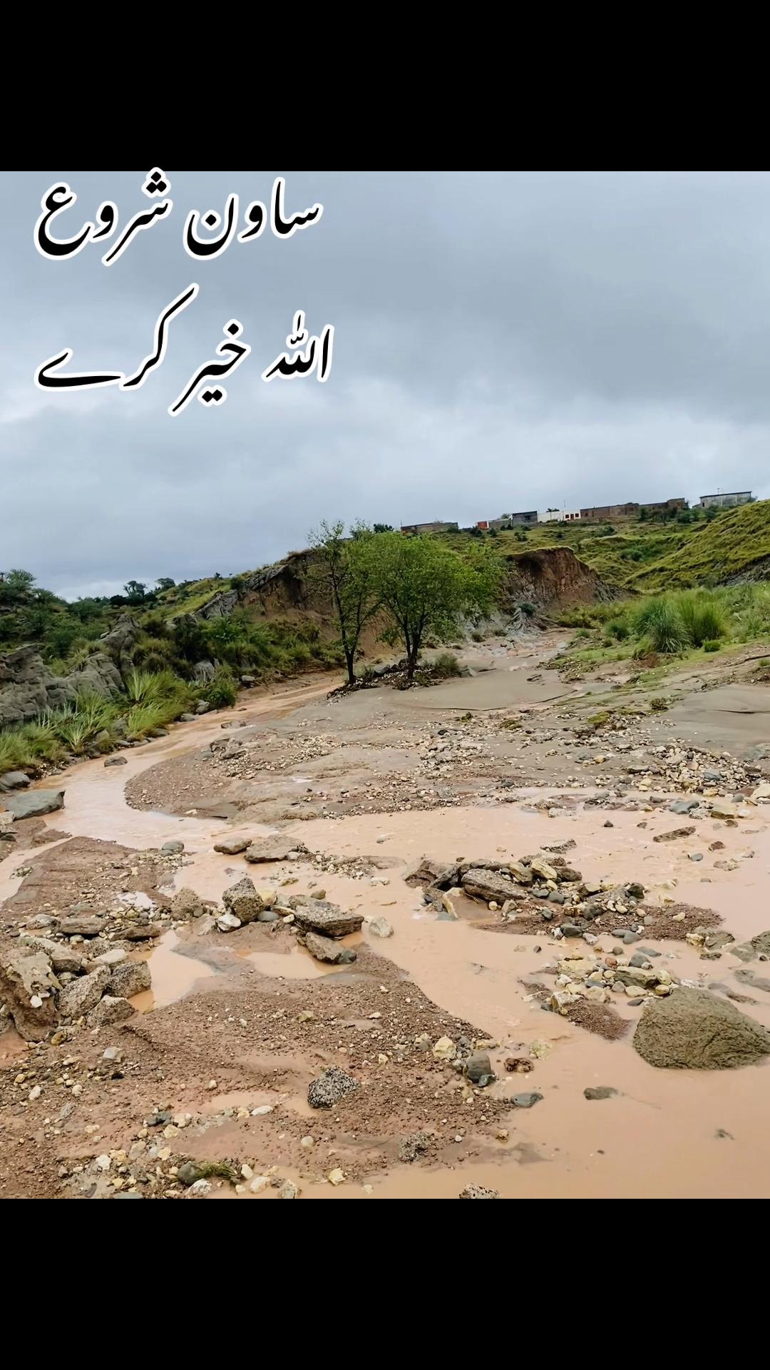 @اعوان زرعی فارم 🌾