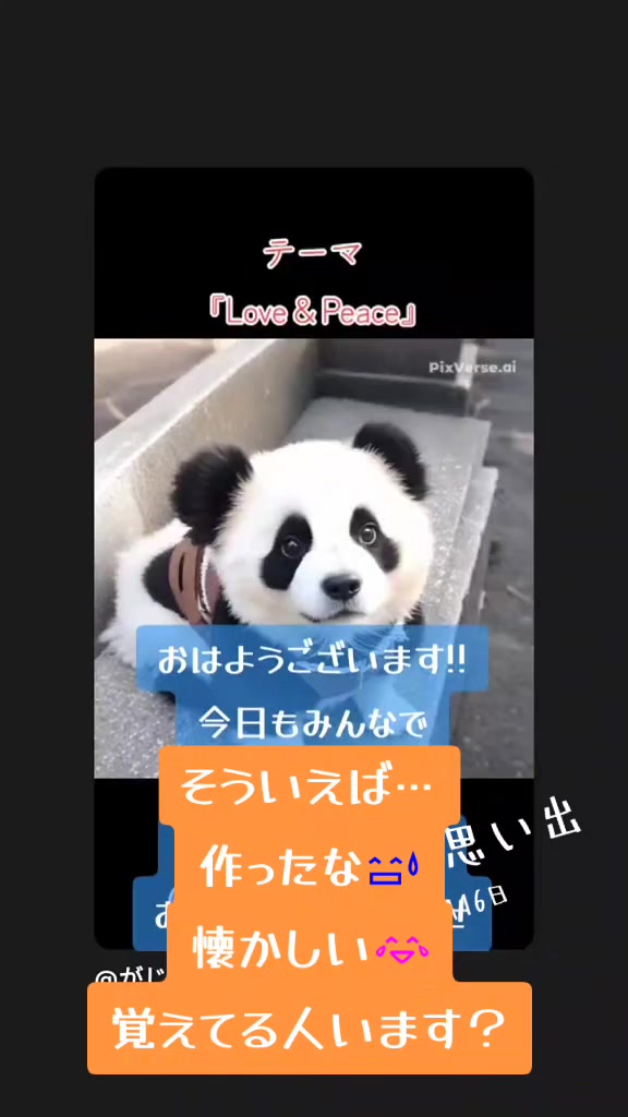 @がじゅまる隊長️🐼🐾