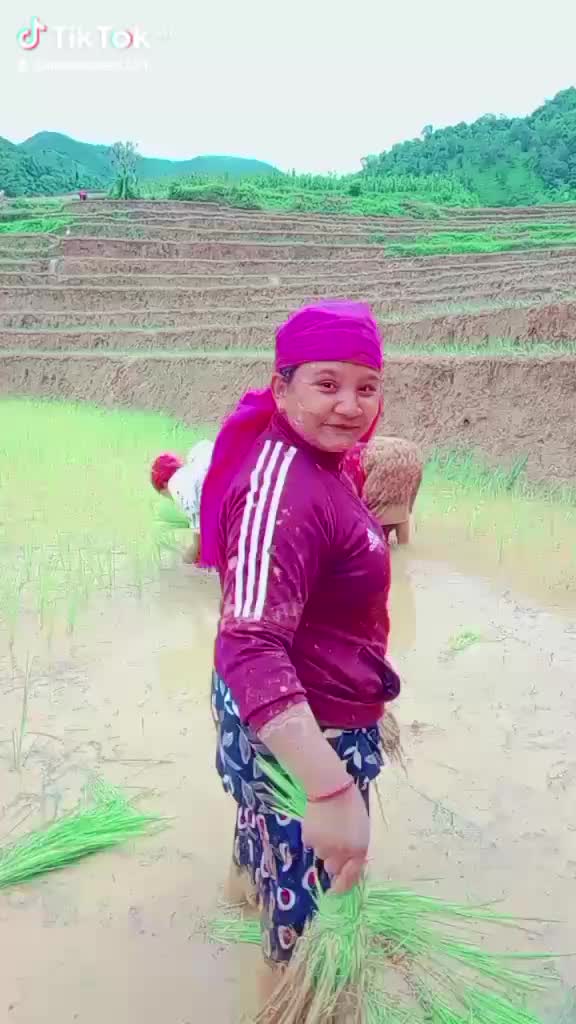 @अन्सु❤️
