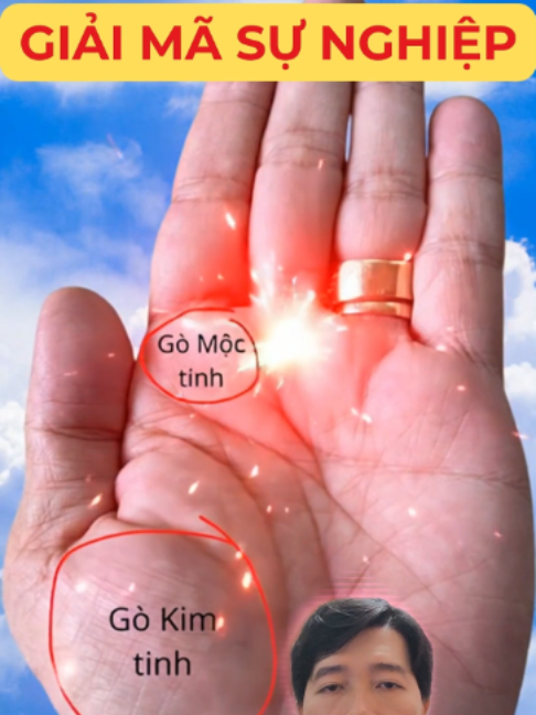 @Học Xem Chỉ Tay