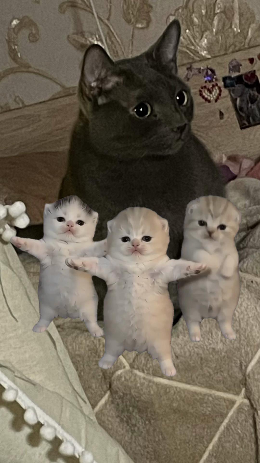 @๐๐ธ๐๐ฑ๐ฎ๐ฟ๐ท๐ฒ๐ด๐ธ๐ฟa โค๏ธ๐ฅ