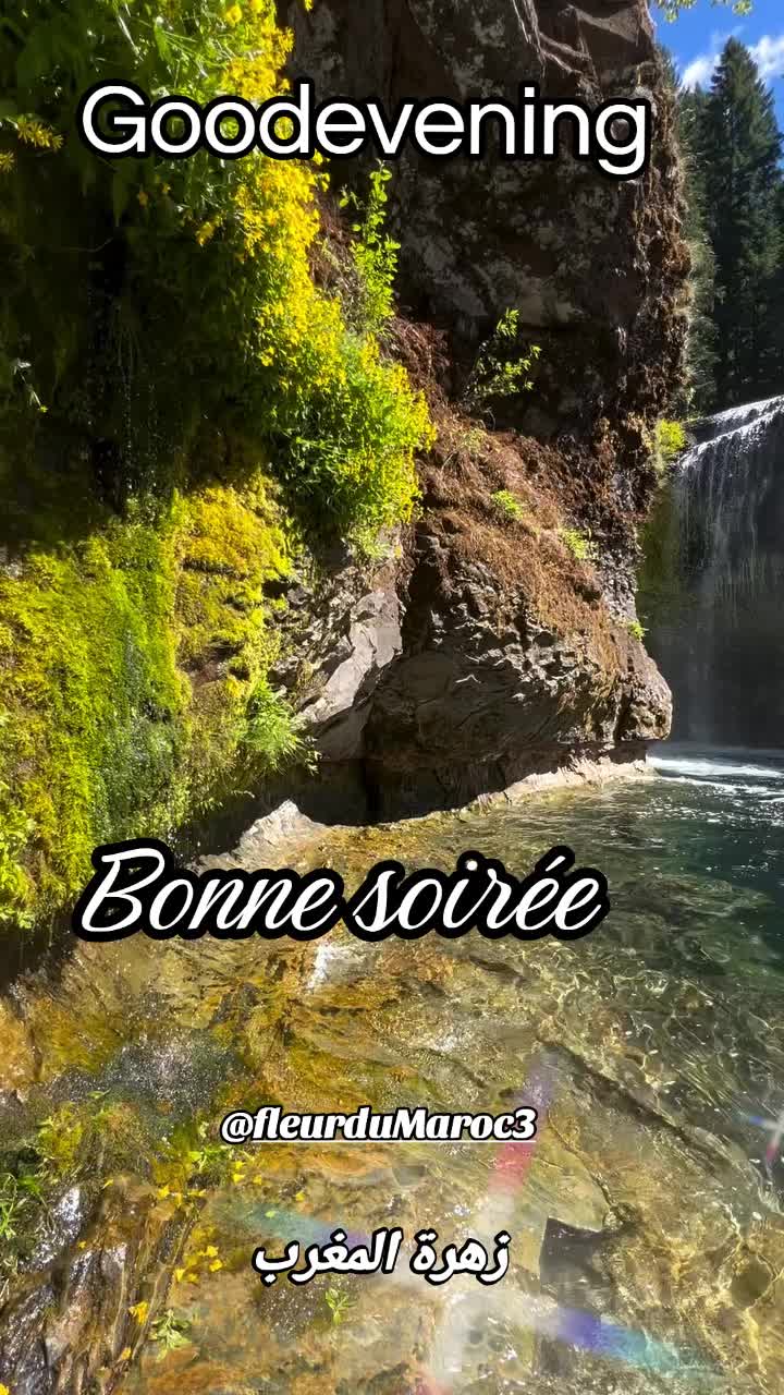 @زهرة المغرب