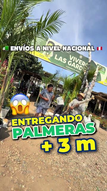 @VIVERO LAS G🦁RDENIAS|TRUJILLO