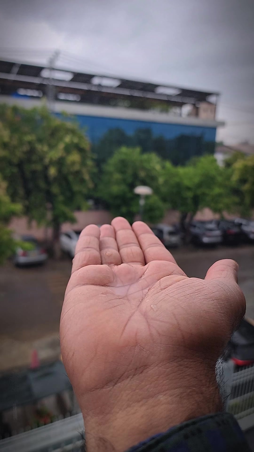 @اسامہ .....