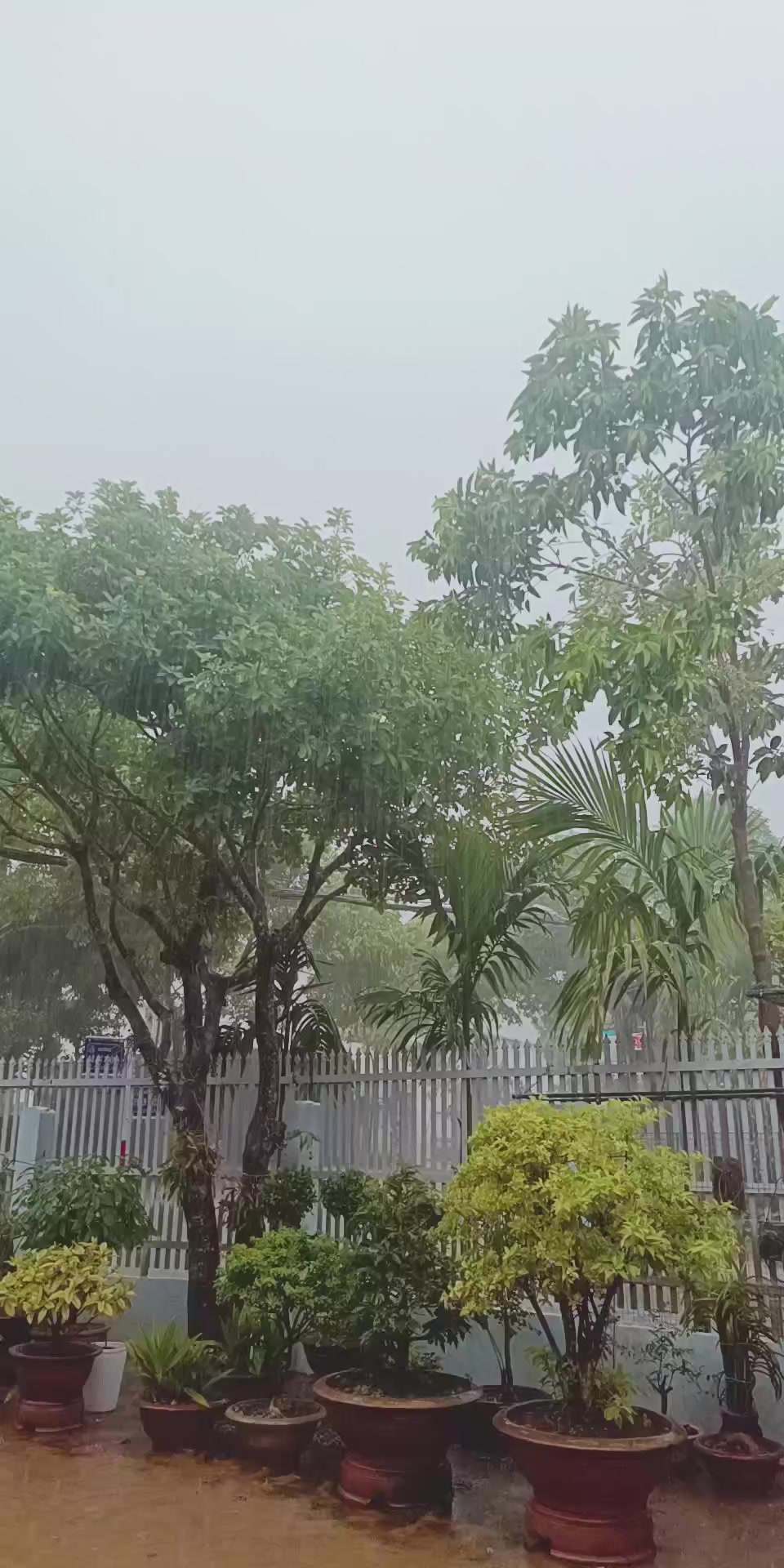 @Hữu.Nguy&ecirc;n 57