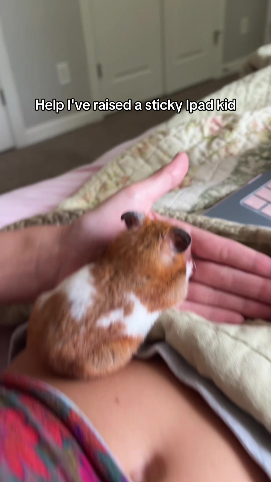 @thatweirdanimalgirl