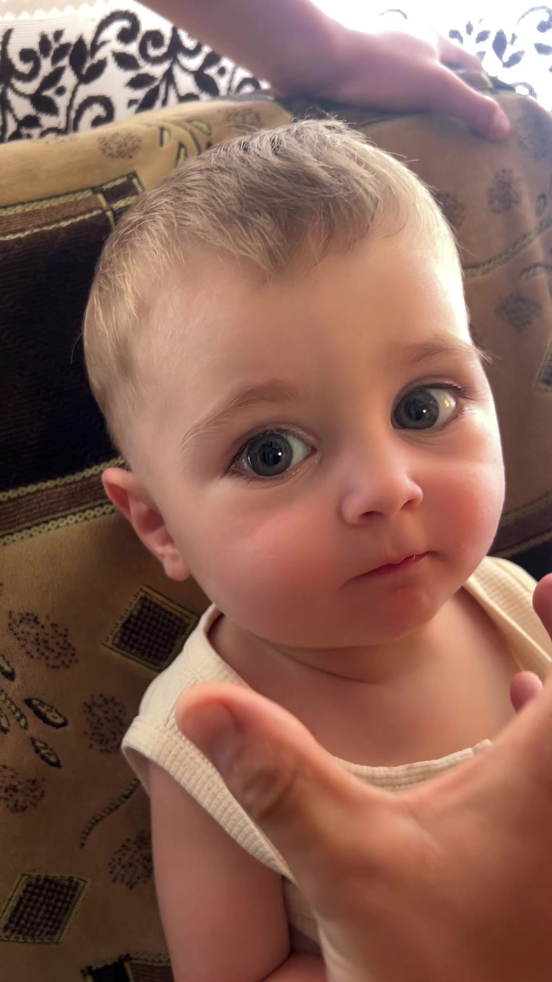 @Nicat Demirbeyov singer 🎙️