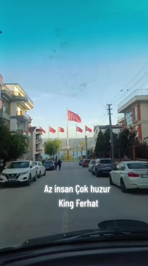 @kingferhat41