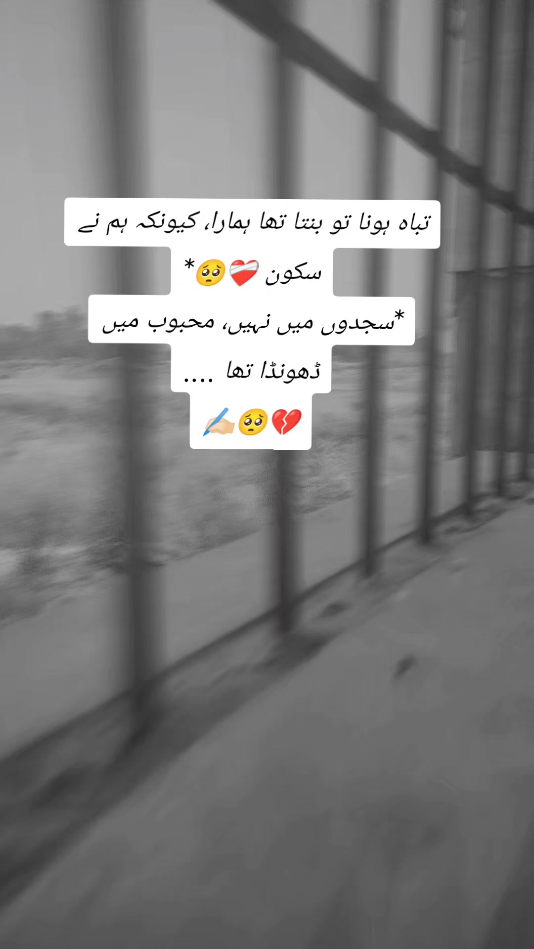 @❣️🥰🫀*..A.S.H.F.A.Q../*🥰👑❣️