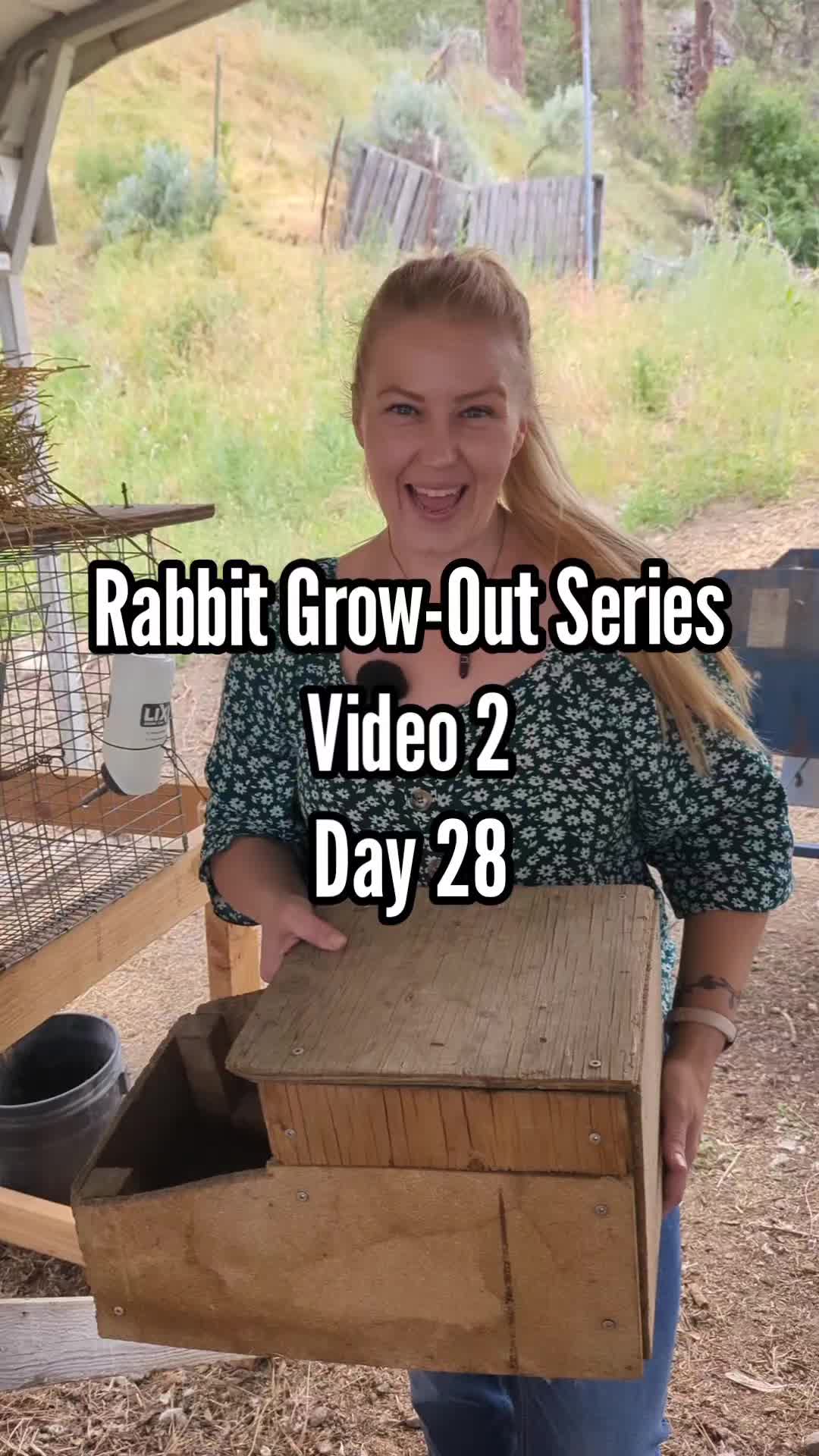 @MountainSpringHomestead